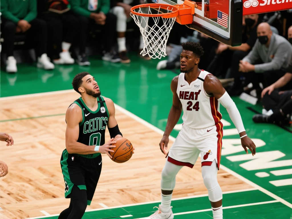 上也进行了 上也进行了