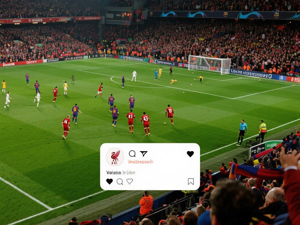 刺世界杯帶 刺世界杯帶