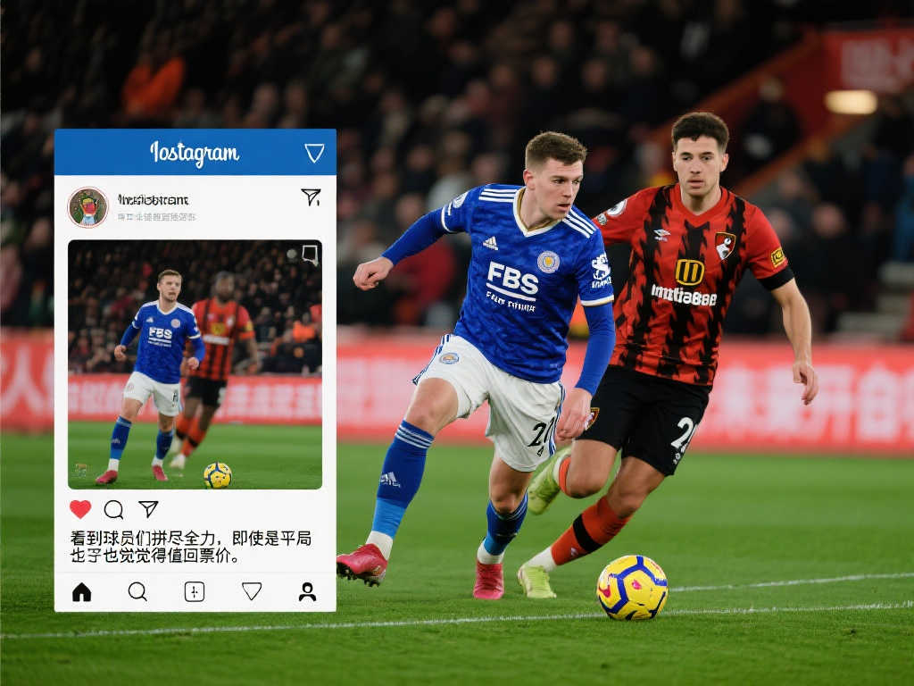 提供了坚实 提供了坚实